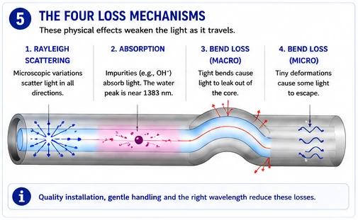 Rayleigh scattering, absorption, macrobend and microbend loss. Good installation and the right wavelength keep all four small.