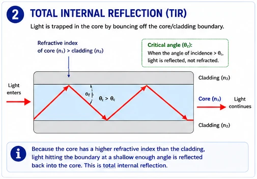 Total internal reflection. Because the core has a higher refractive index than the cladding, light striking the boundary at a shallow angle bounces back in.